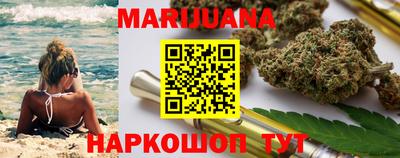 сатива Новокубанск