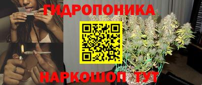 гашиш Новодвинск