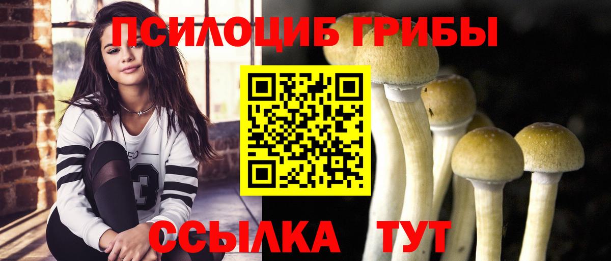Псилоцибиновые грибы прущие грибы  Галлюциногенные грибы ЛСД  Ртищево  Вход с VPN 