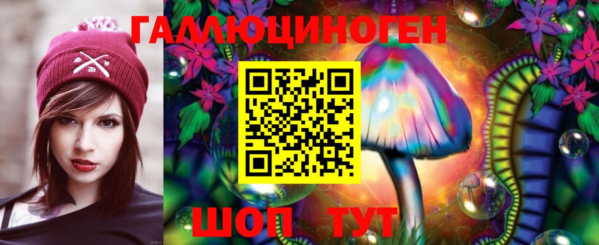 Псилоцибиновые грибы Psilocybe Ртищево